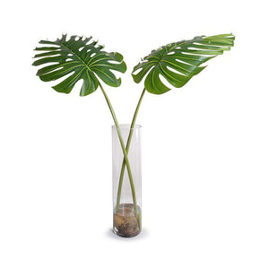 Large Monstera Branches in Glass Cylinder