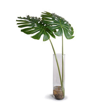 Load image into Gallery viewer, Large Monstera Branches in Glass Cylinder
