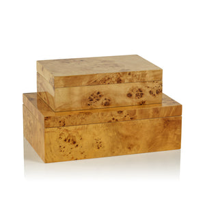 Leiden Burl Wood Design Boxes